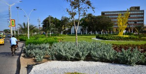 Dicen que hay más de  un rincón en el Caribe donde revolotean las mariposas amarillas de Gabo. Está muy cerca de  Fedecafé y del Centro Comercial El Río.